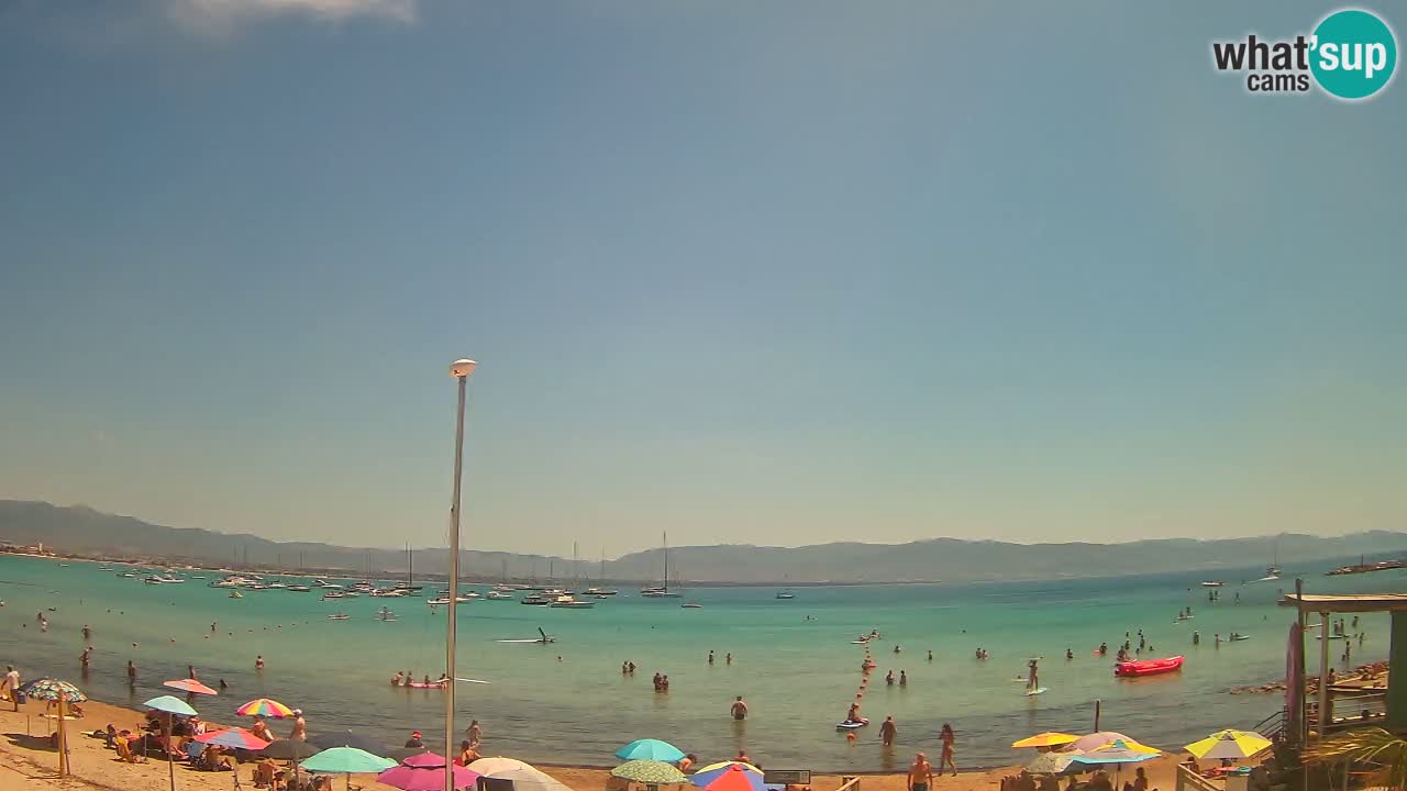 Webcam Cagliari Windsurf Club – Plage du Poetto en direct