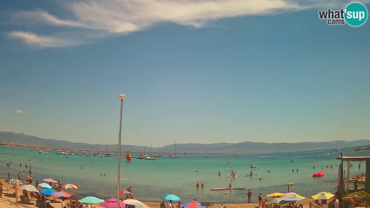 Webcam Cagliari Windsurf Club – Liveblick vom Poetto Strand