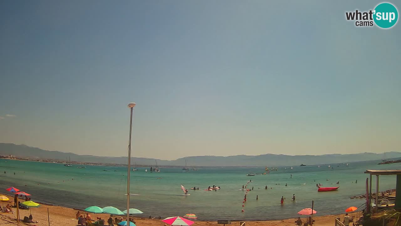Webcam Cagliari Windsurf Club – Plage du Poetto en direct