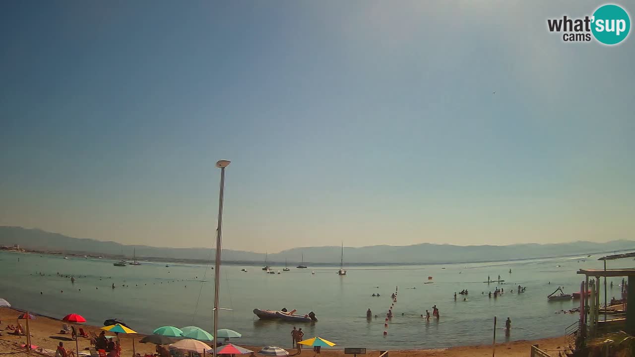 Webcam Cagliari Windsurf Club – Plage du Poetto en direct