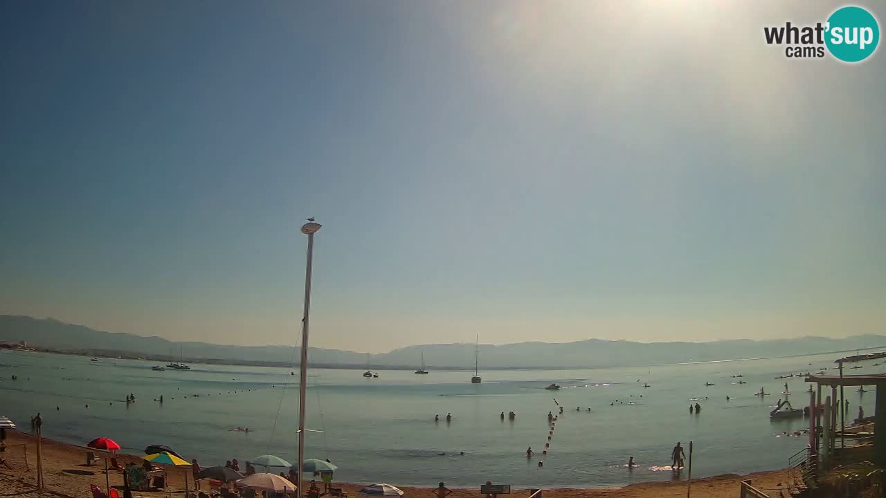 Webcam Cagliari Windsurf Club – Playa del Poetto en directo