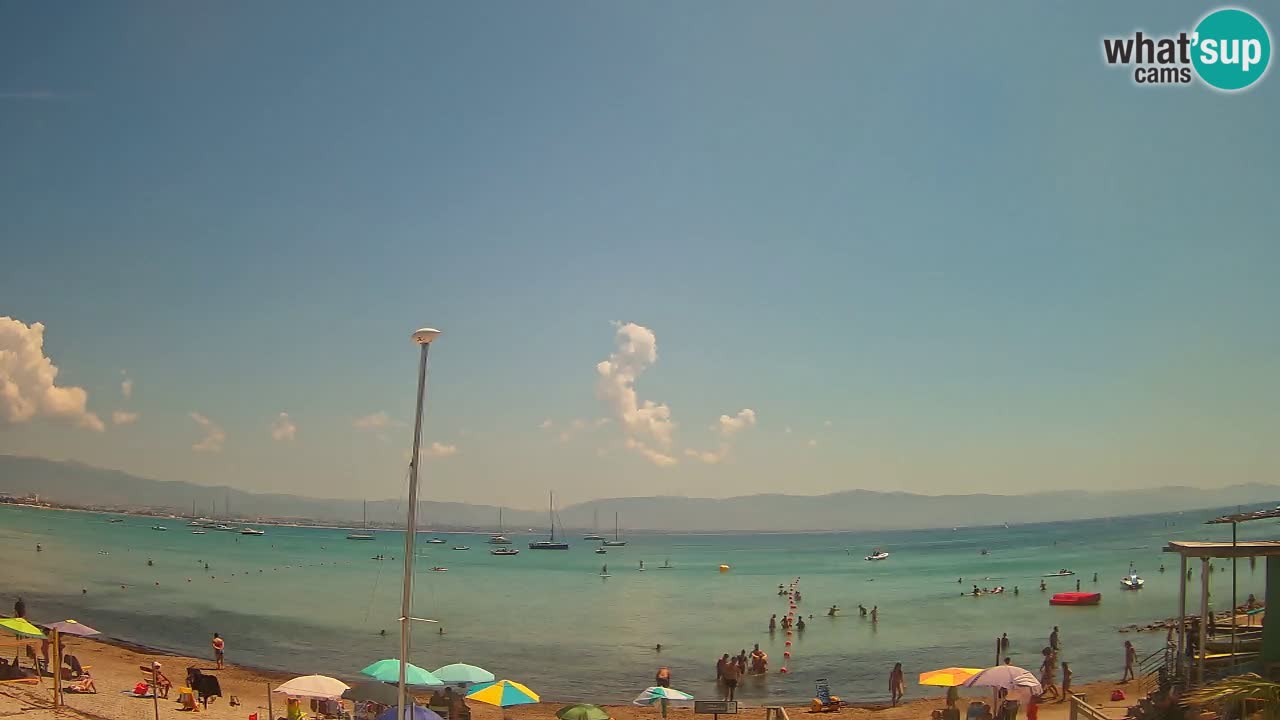 Webcam Cagliari Windsurf Club – Plage du Poetto en direct
