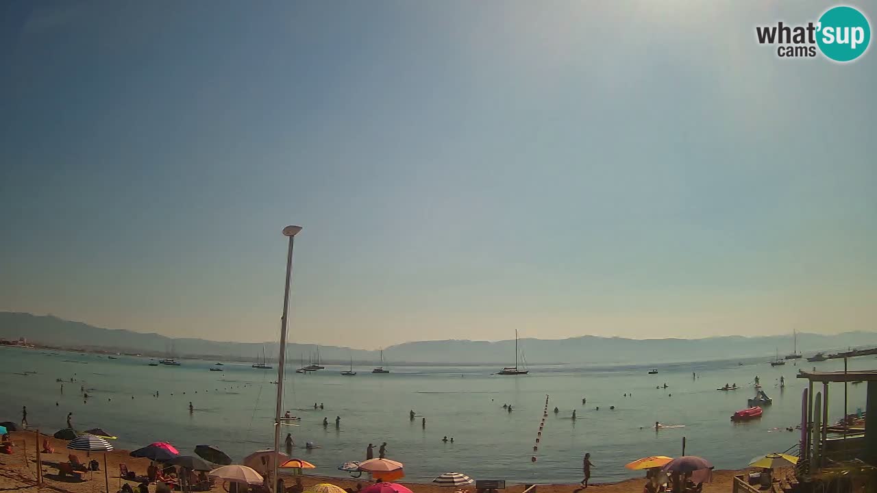 Webcam Cagliari Windsurf Club – Plage du Poetto en direct