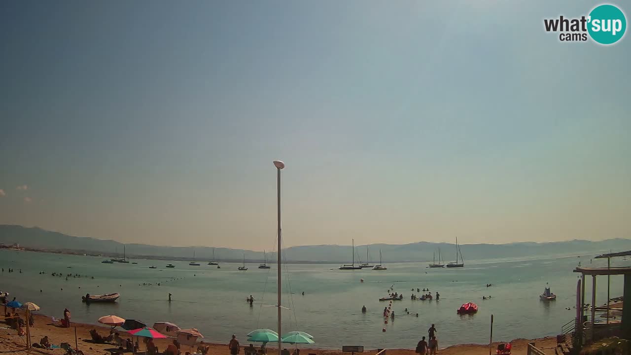 Webcam Cagliari Windsurf Club – Plage du Poetto en direct