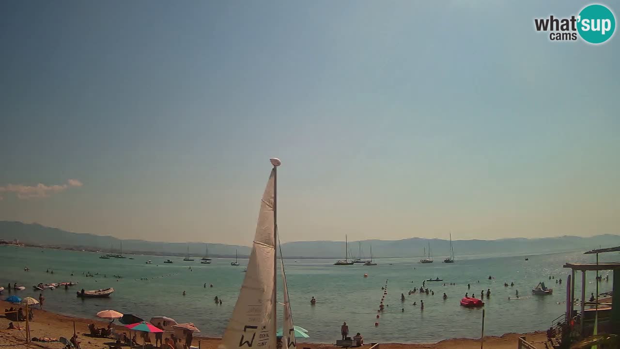 Webcam Cagliari Windsurf Club – Plage du Poetto en direct
