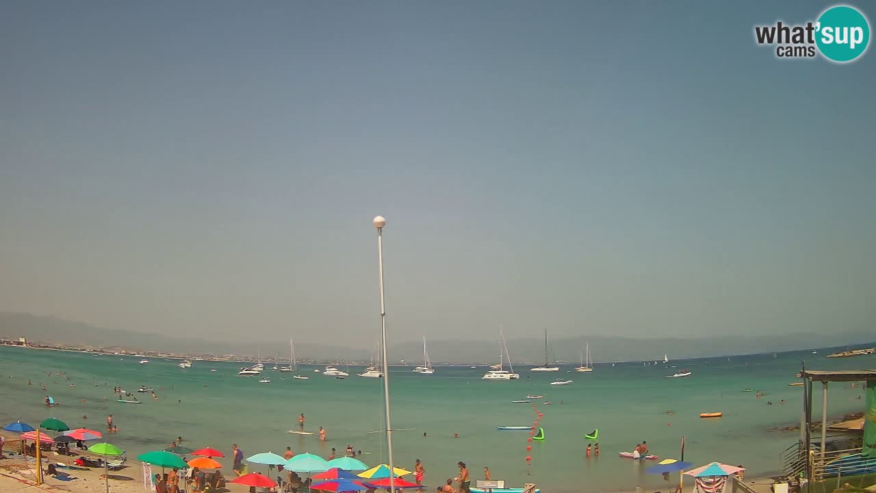 Webcam Cagliari Windsurf Club – Plage du Poetto en direct