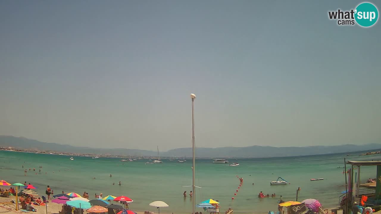 Webcam Cagliari Windsurf Club – Plage du Poetto en direct