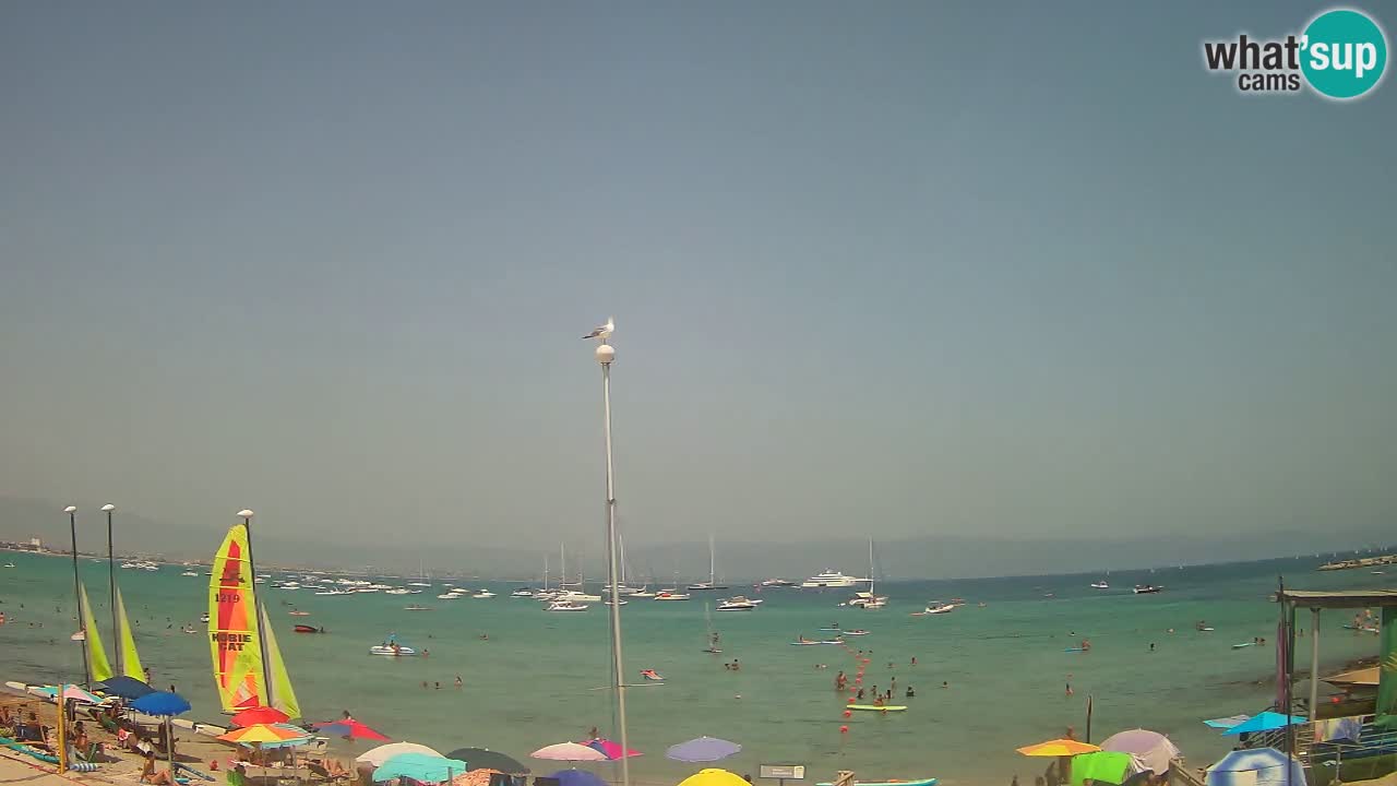 Webcam Cagliari Windsurf Club – Liveblick vom Poetto Strand