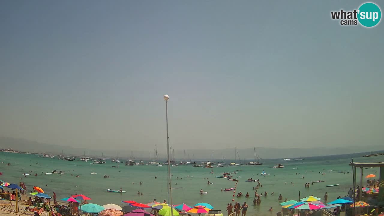 Webcam Cagliari Windsurf Club – Plage du Poetto en direct