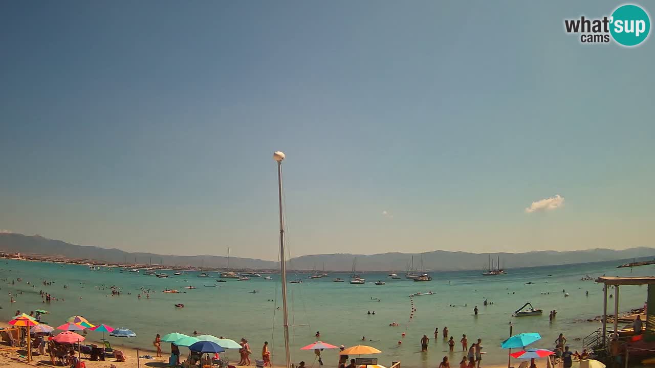 Webcam Cagliari Windsurf Club – Plage du Poetto en direct
