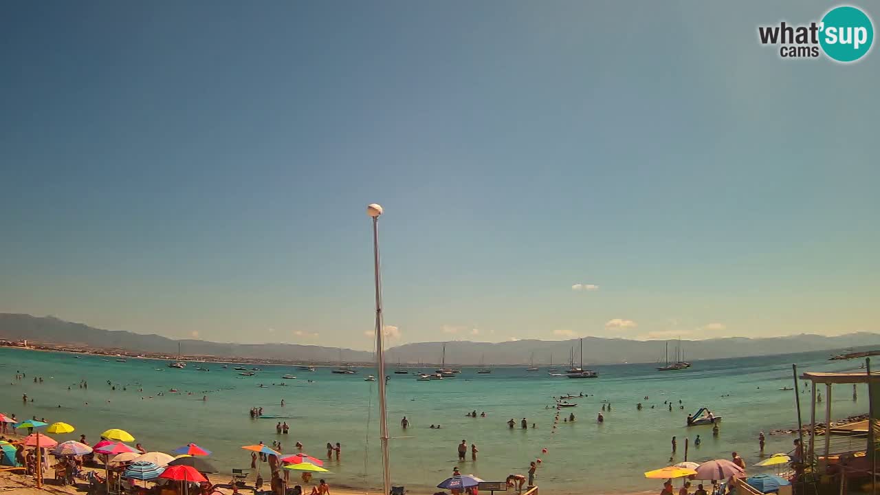 Webcam Cagliari Windsurf Club – Liveblick vom Poetto Strand