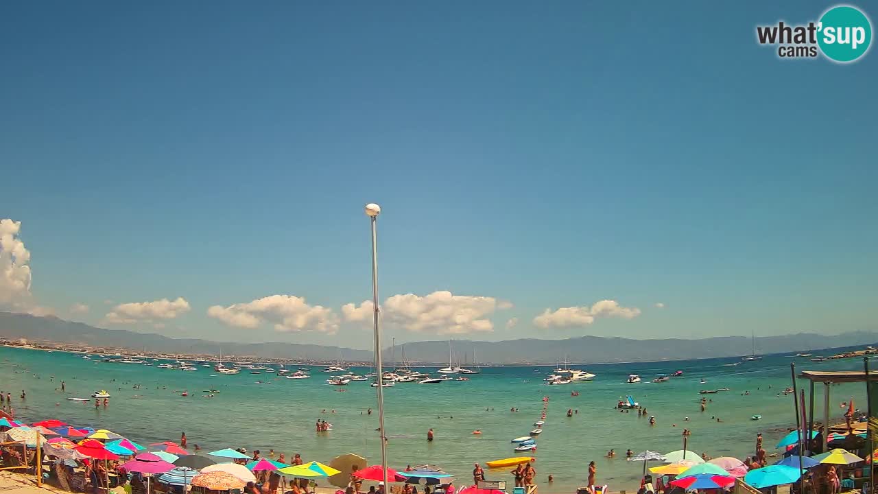 Webcam Cagliari Windsurf Club – Live from Poetto Beach