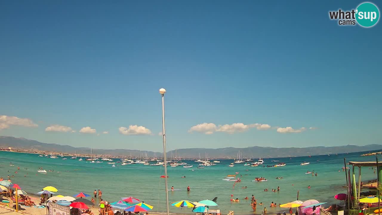 Webcam Cagliari Windsurf Club – Plage du Poetto en direct