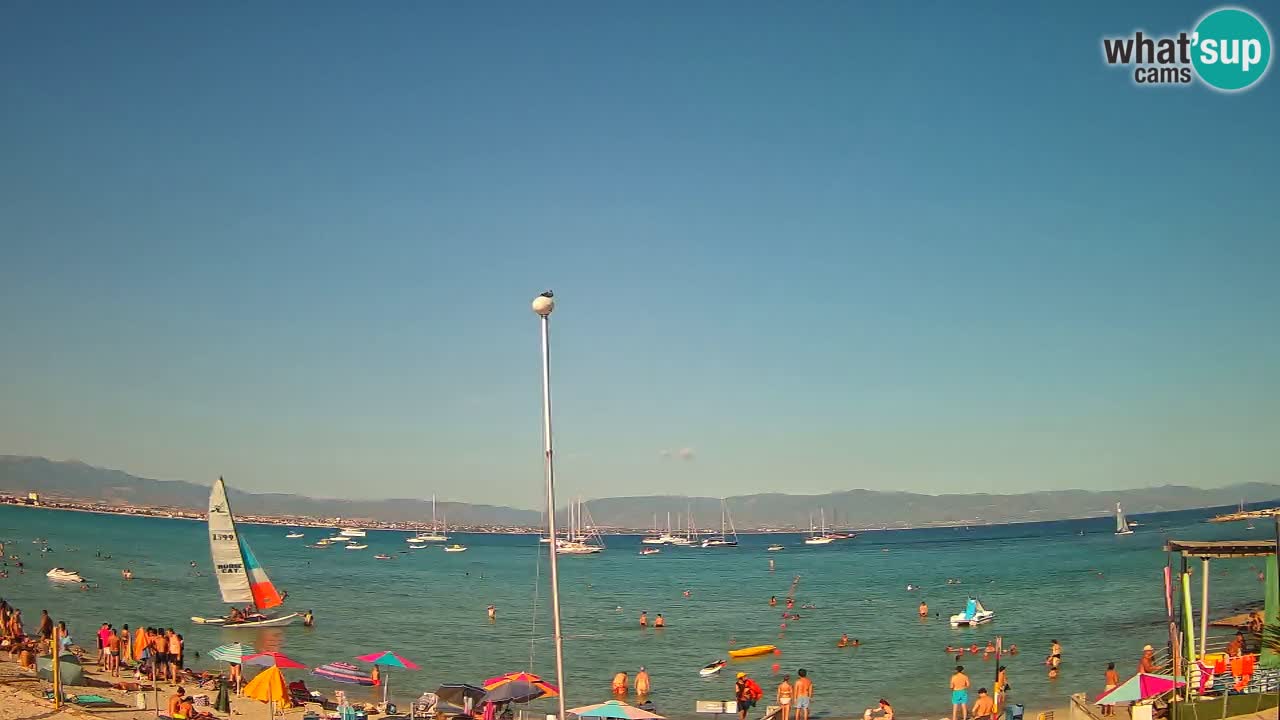 Webcam Cagliari Windsurf Club – Plage du Poetto en direct