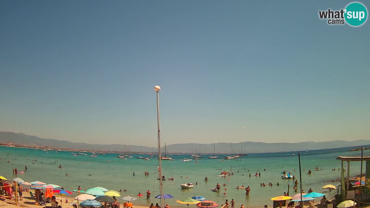 Webcam Cagliari Windsurf Club – Playa del Poetto en directo