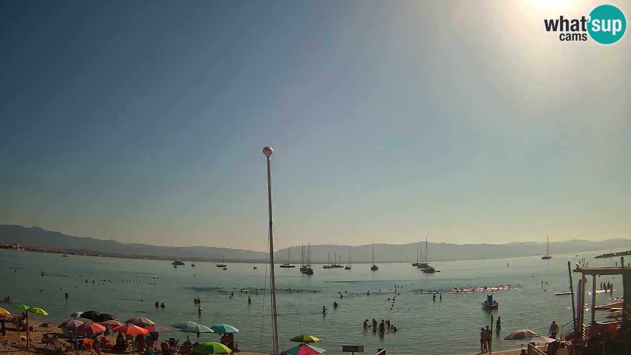 Webcam Cagliari Windsurf Club – Liveblick vom Poetto Strand