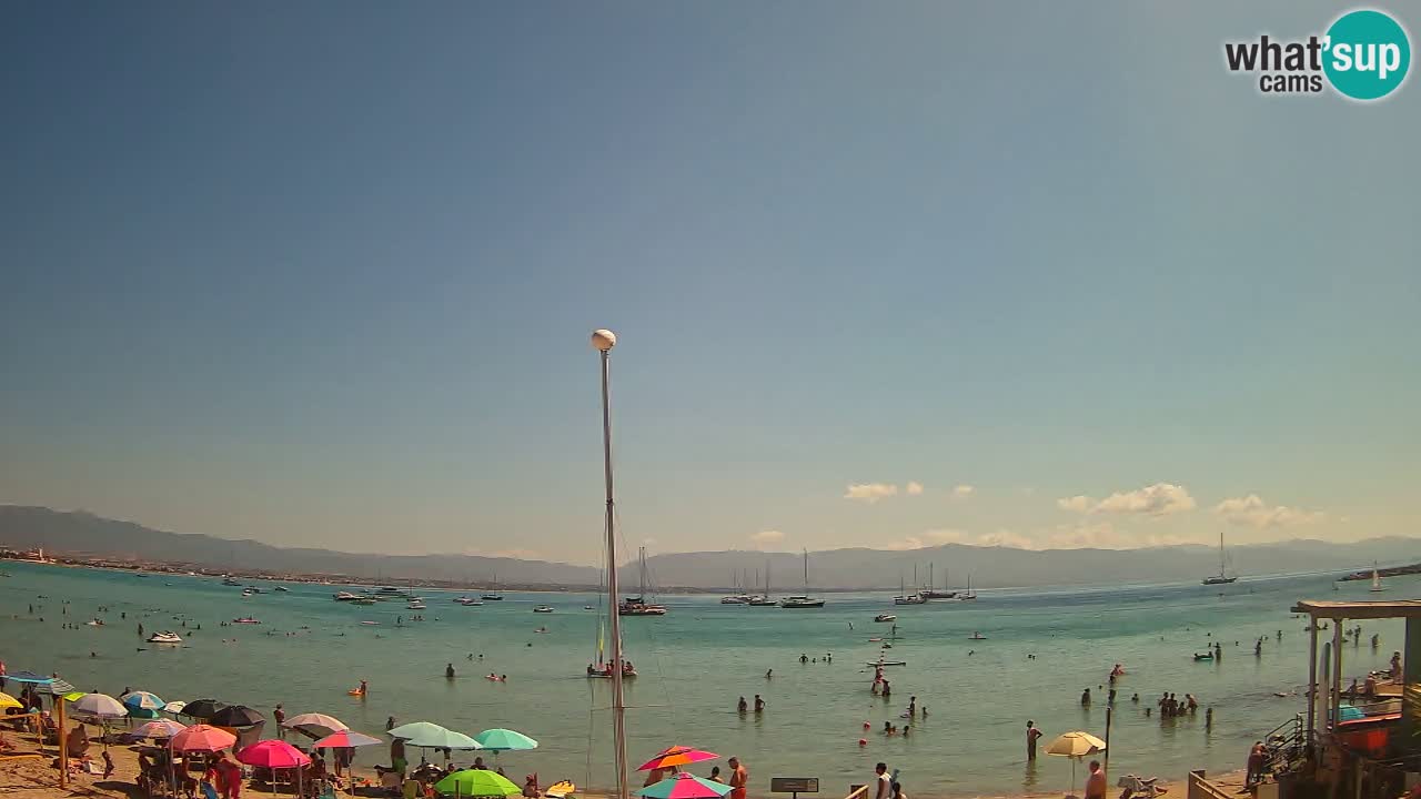 Webcam Cagliari Windsurf Club – Plage du Poetto en direct