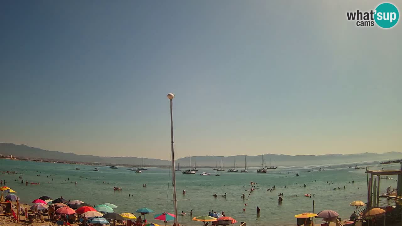 Webcam Cagliari Windsurf Club – Plage du Poetto en direct