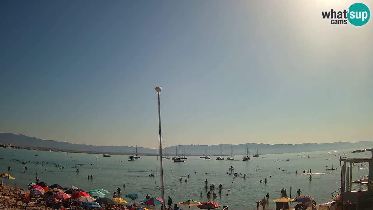 Webcam Cagliari Windsurf Club – Plage du Poetto en direct