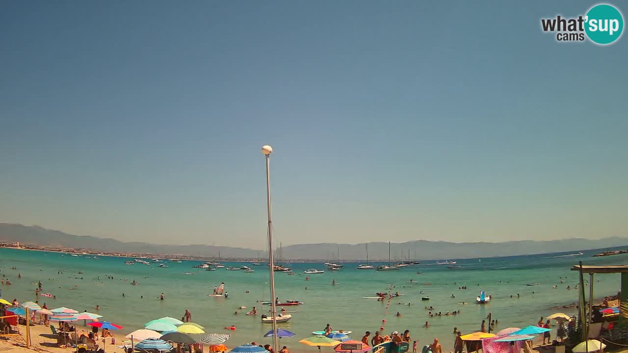 Webcam Cagliari Windsurf Club – Live from Poetto Beach