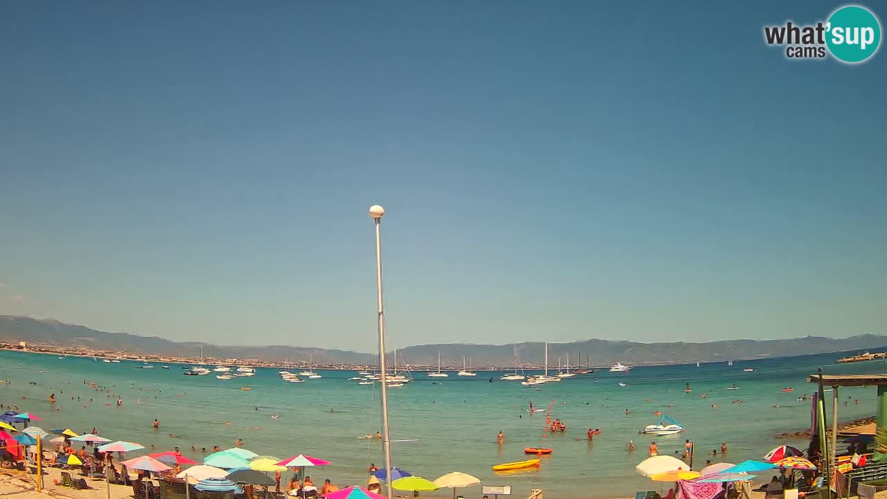 Webcam Cagliari Windsurf Club – Plage du Poetto en direct