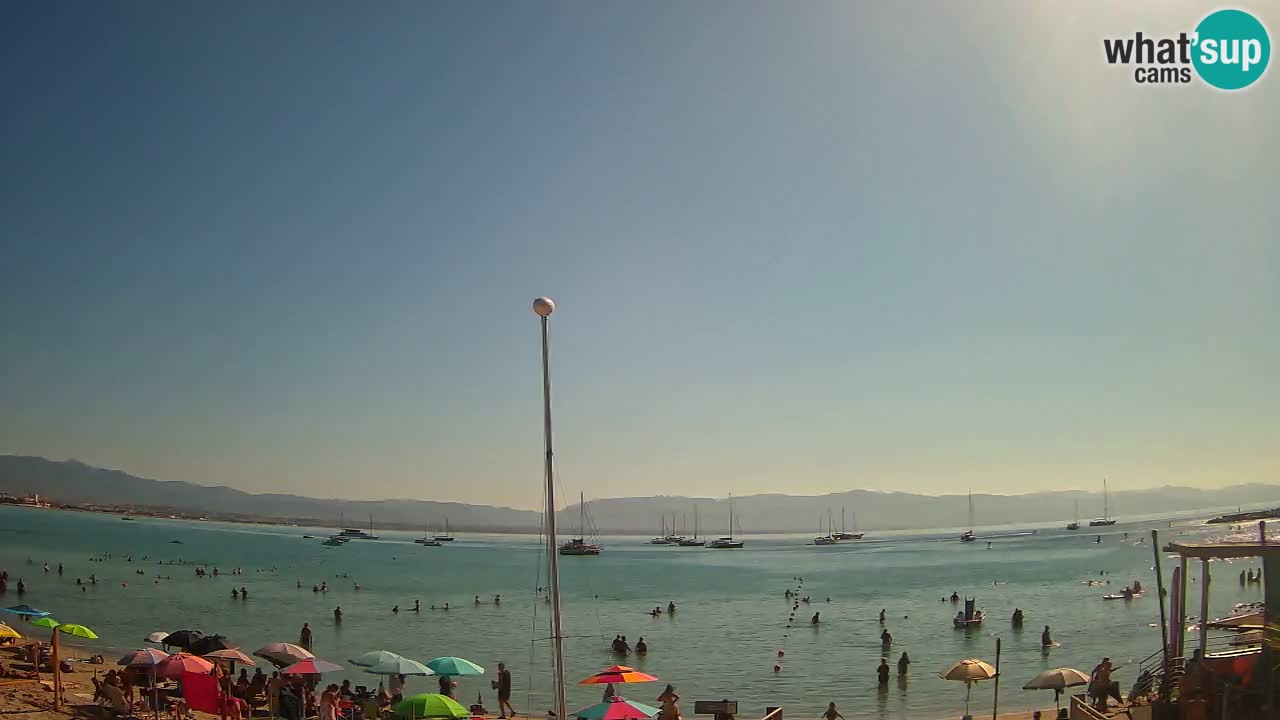 Webcam Cagliari Windsurf Club – Liveblick vom Poetto Strand