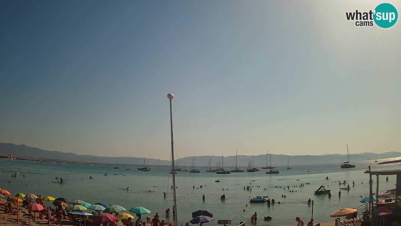 Webcam Cagliari Windsurf Club – Plage du Poetto en direct