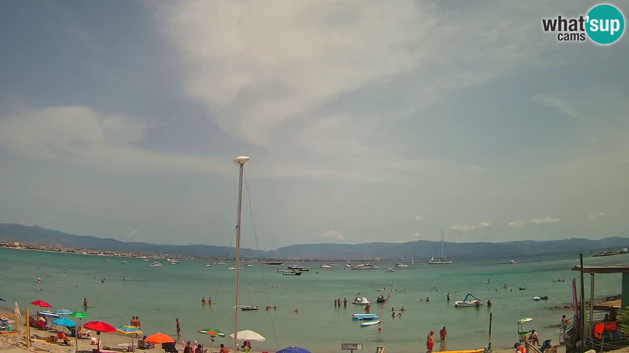 Webcam Cagliari Windsurf Club – Plage du Poetto en direct