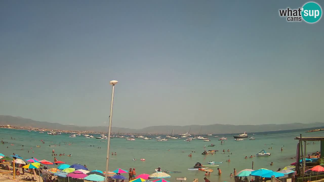 Webcam Cagliari Windsurf Club – Plage du Poetto en direct