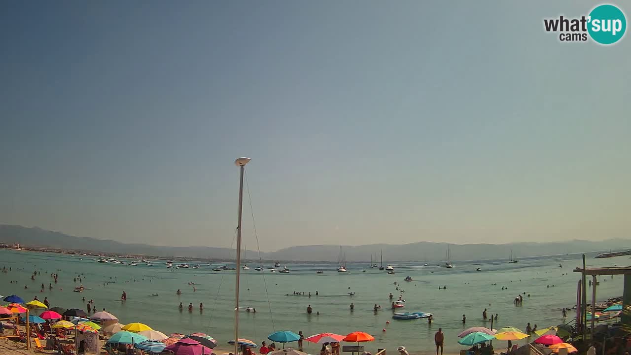 Webcam Cagliari Windsurf Club – Spiaggia del Poetto in diretta