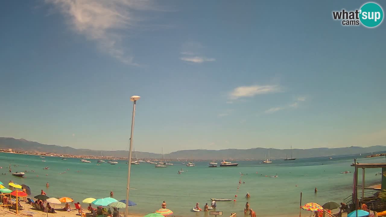 Webcam Cagliari Windsurf Club – Plage du Poetto en direct