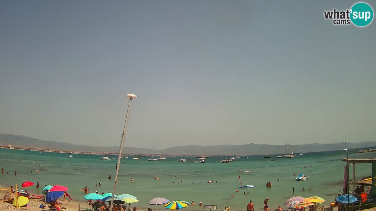 Webcam Cagliari Windsurf Club – Playa del Poetto en directo