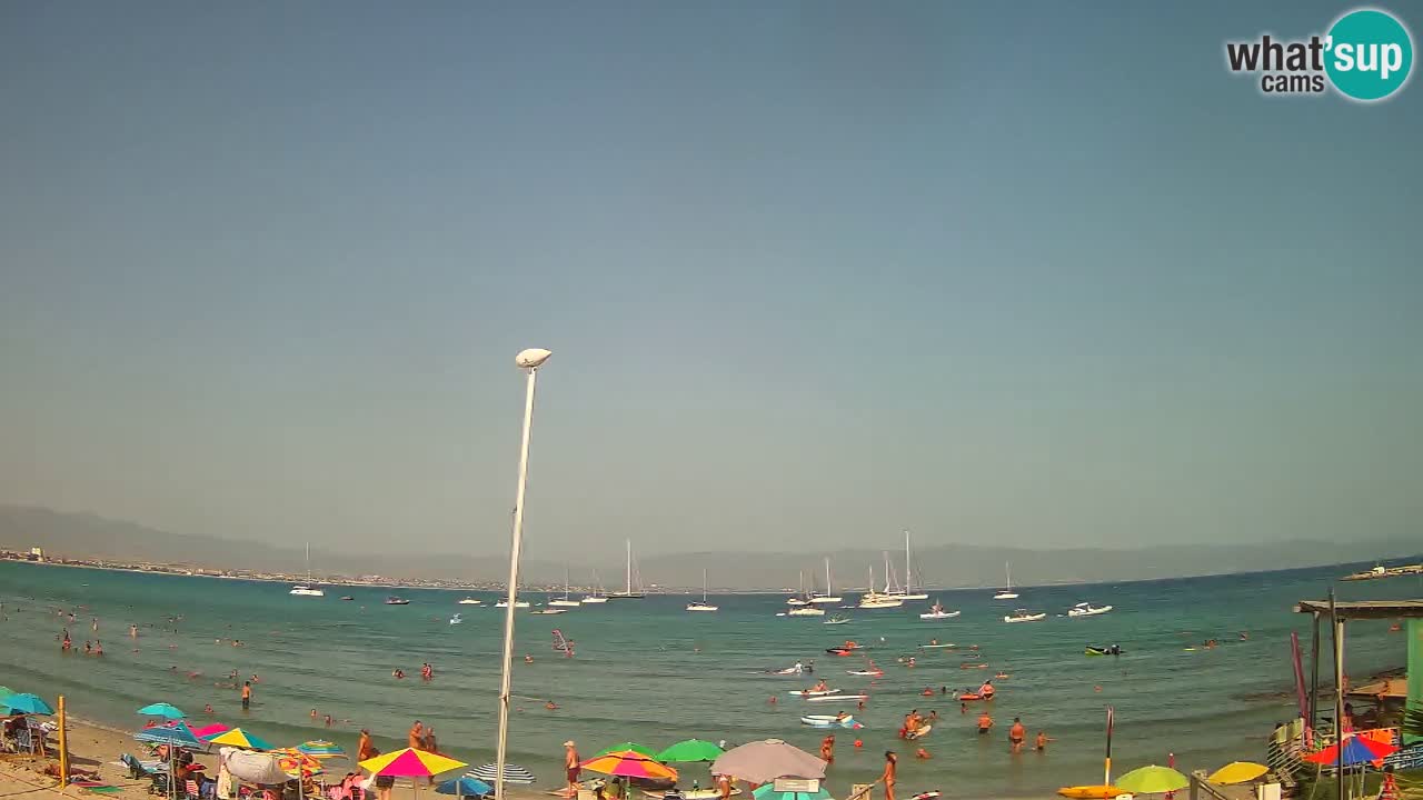 Webcam Cagliari Windsurf Club – Plage du Poetto en direct