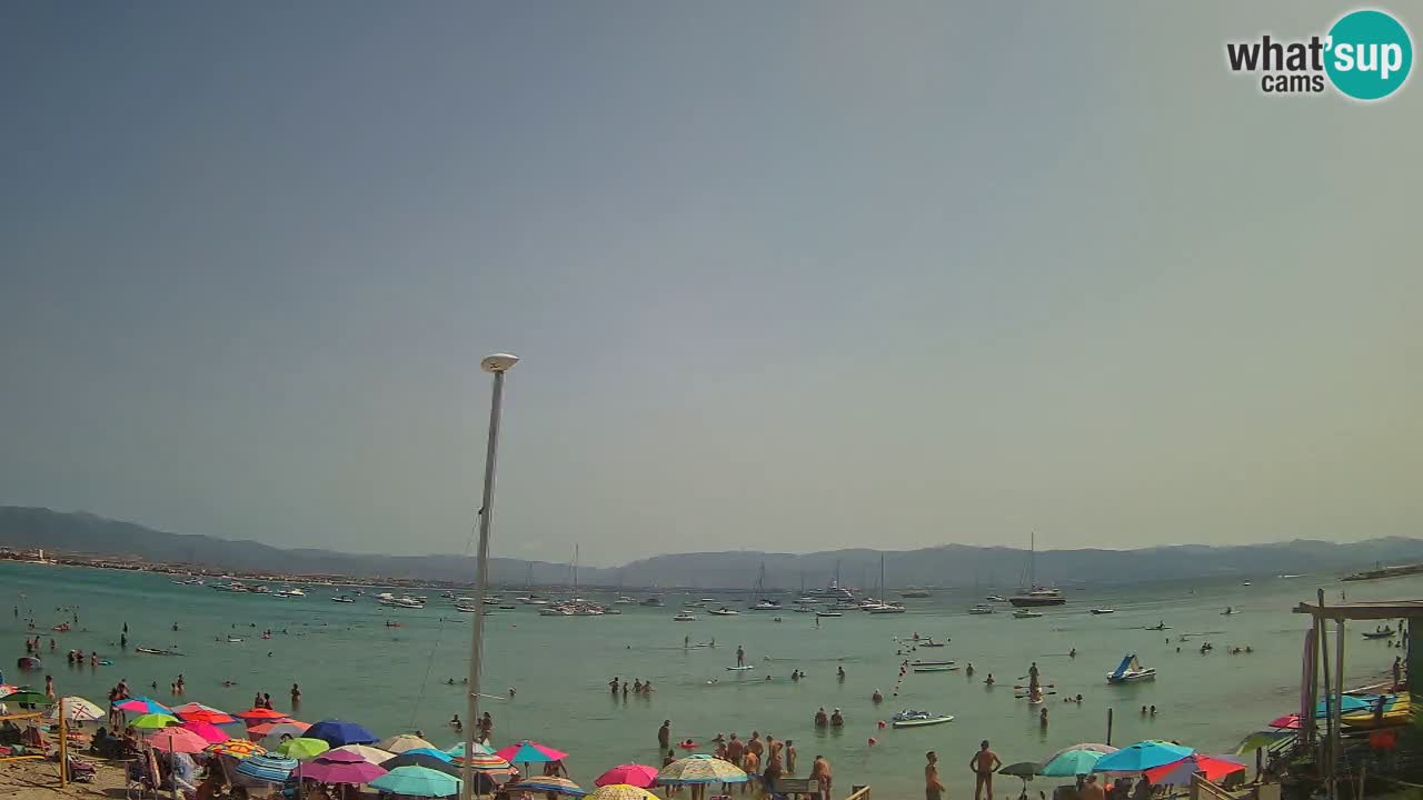 Webcam Cagliari Windsurf Club – Spiaggia del Poetto in diretta