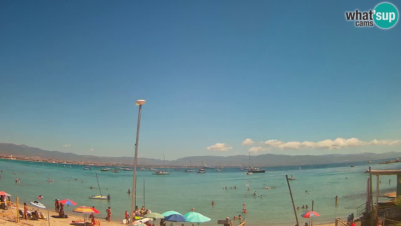 Webcam Cagliari Windsurf Club – Plage du Poetto en direct
