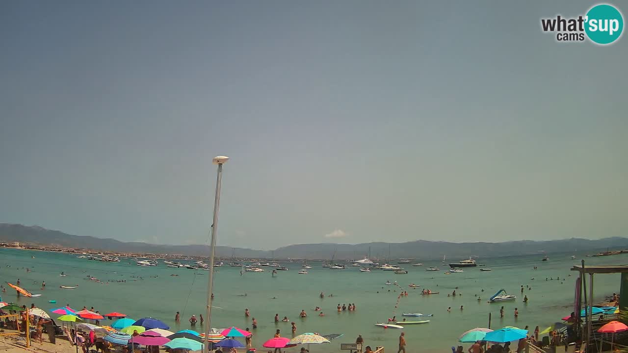 Webcam Cagliari Windsurf Club – Playa del Poetto en directo