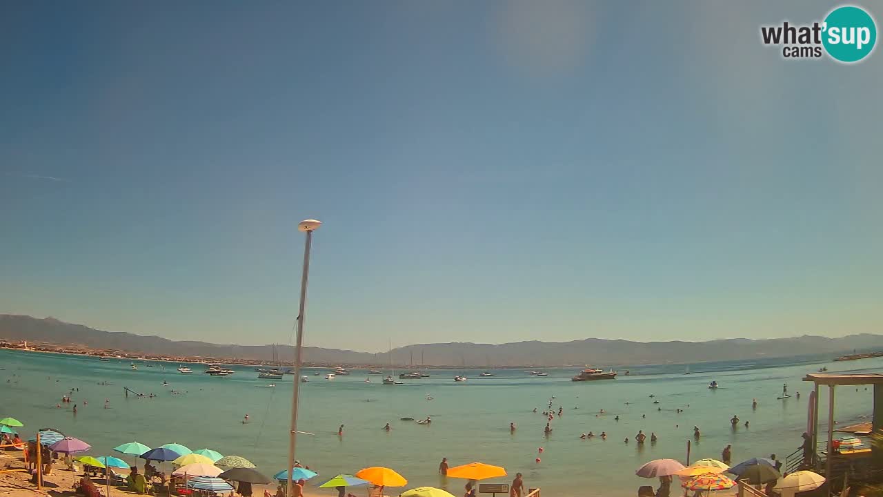 Webcam Cagliari Windsurf Club – Live from Poetto Beach