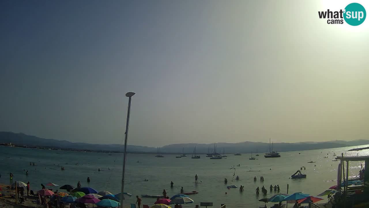 Webcam Cagliari Windsurf Club – Plage du Poetto en direct