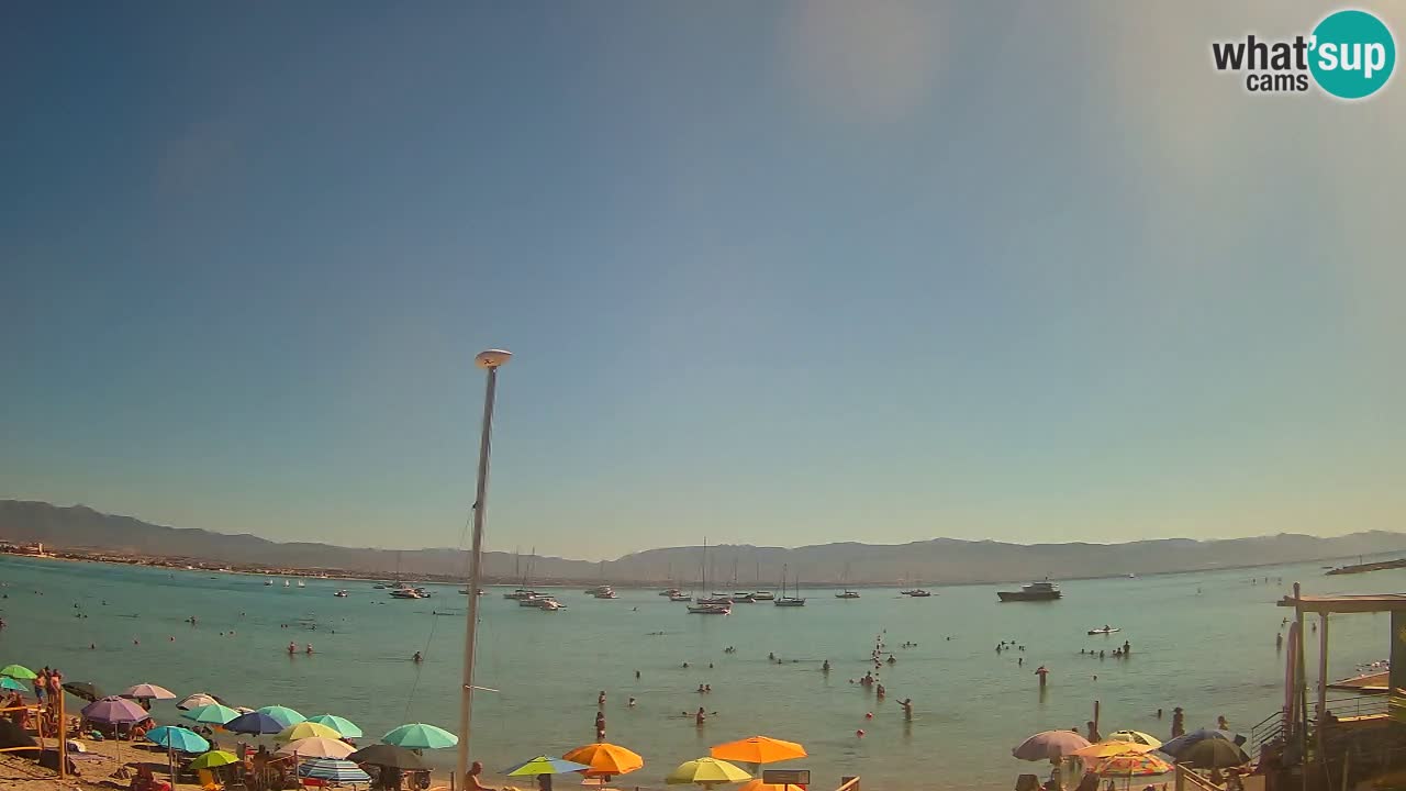 Webcam Cagliari Windsurf Club – Plage du Poetto en direct