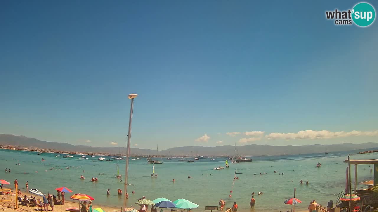 Webcam Cagliari Windsurf Club – Plage du Poetto en direct