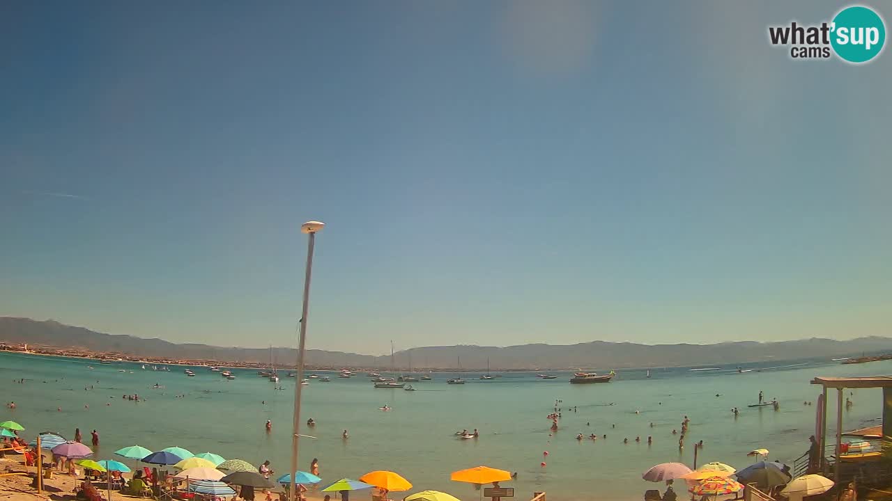 Webcam Cagliari Windsurf Club – Playa del Poetto en directo