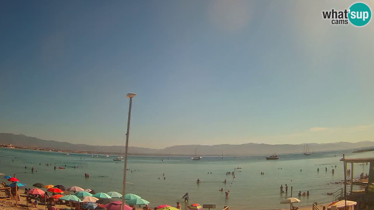 Webcam Cagliari Windsurf Club – Liveblick vom Poetto Strand