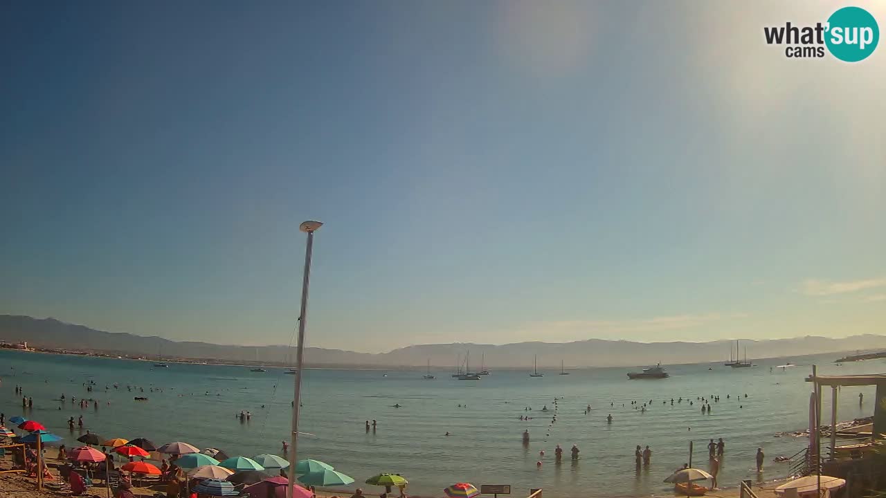 Webcam Cagliari Windsurf Club – Playa del Poetto en directo