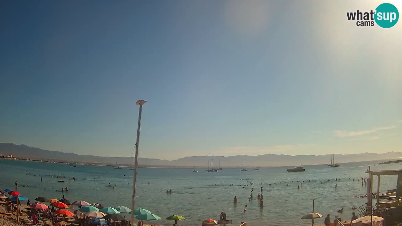 Webcam Cagliari Windsurf Club – Plage du Poetto en direct