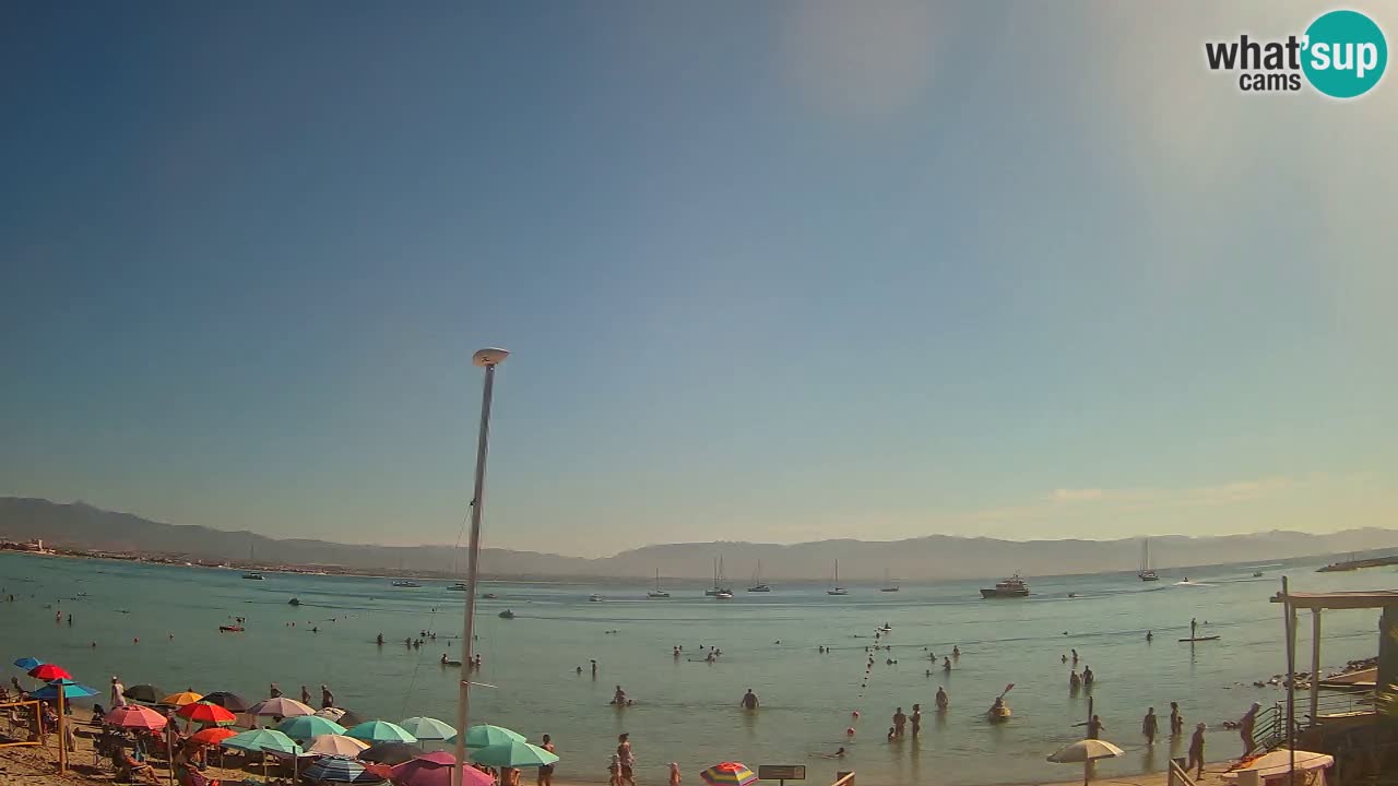 Webcam Cagliari Windsurf Club – Liveblick vom Poetto Strand