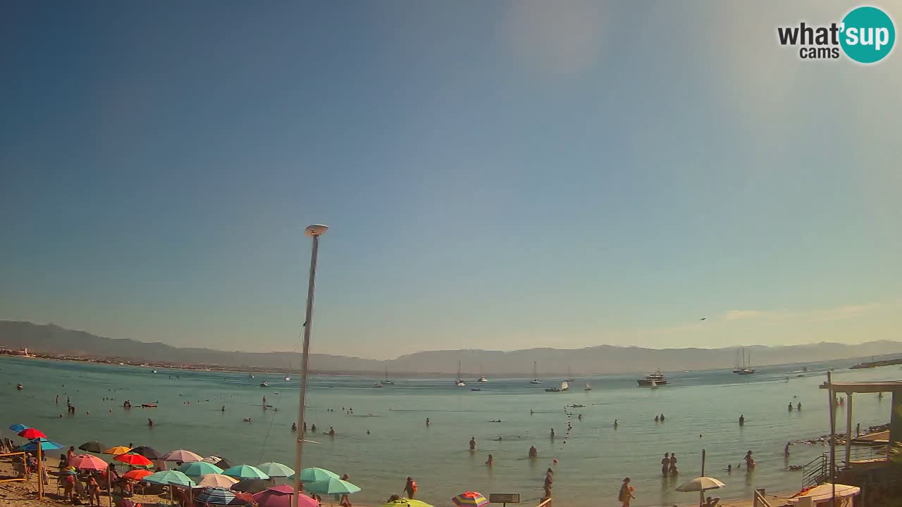 Spletna kamera Cagliari Windsurf Club – Pogled v živo s plaže Poetto