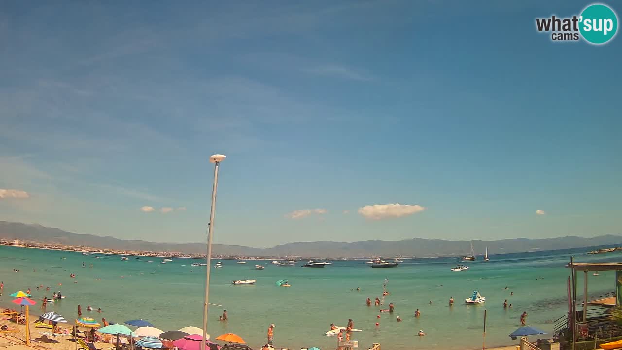 Webcam Cagliari Windsurf Club – Plage du Poetto en direct