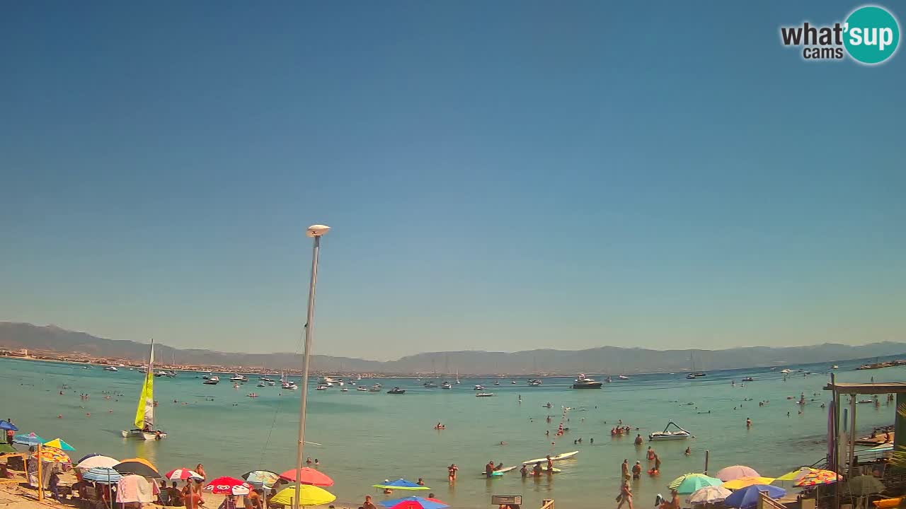 Webcam Cagliari Windsurf Club – Plage du Poetto en direct