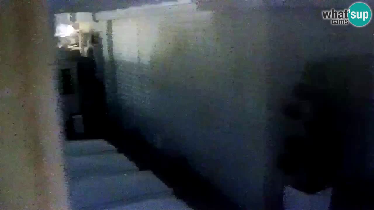 Caorle livecam Levante Strand – Hotel Stellamare