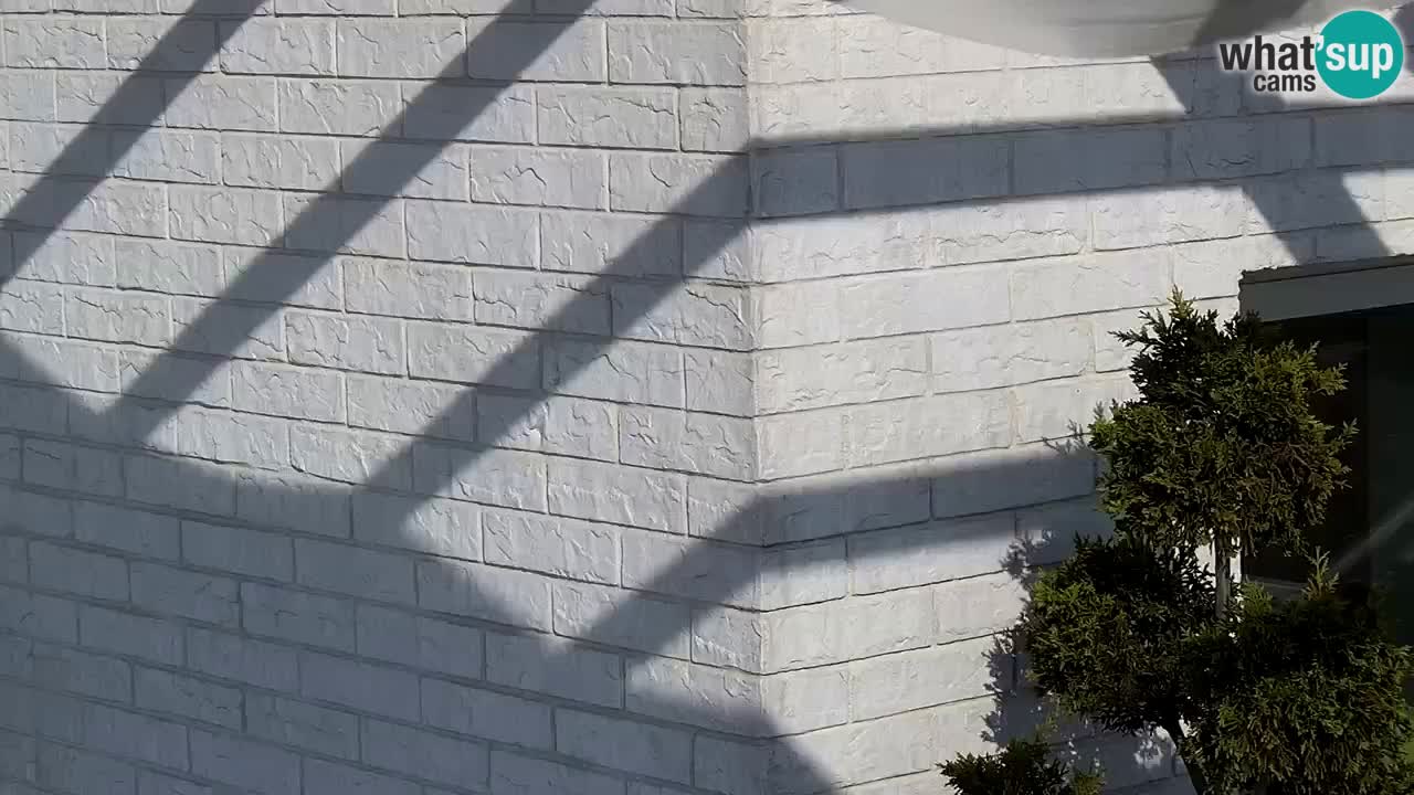 Livecam Caorle Plage de Levante – Hotel Stellamare